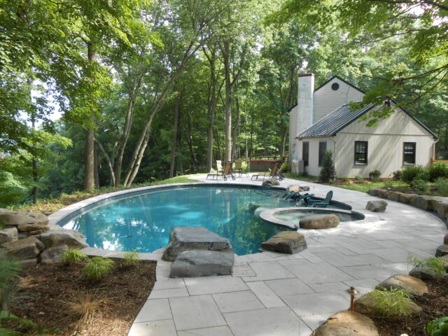 Watermania-Freeform-Pool-Natural-Pool